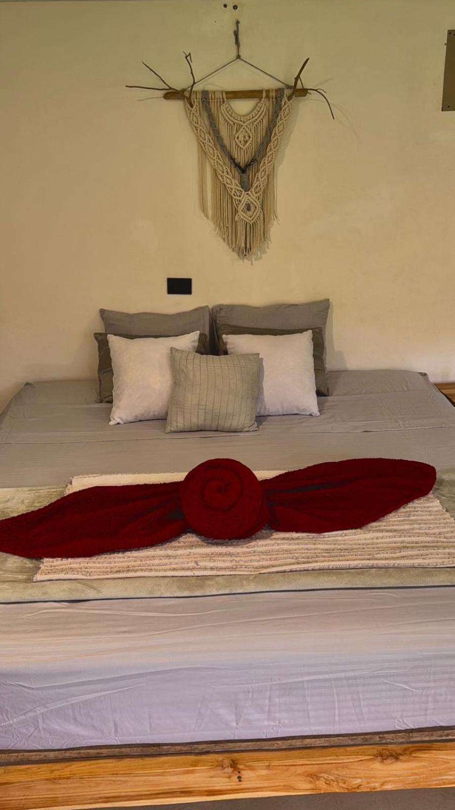 Deer House Cabuya Appartement Cabuya  Buitenkant foto