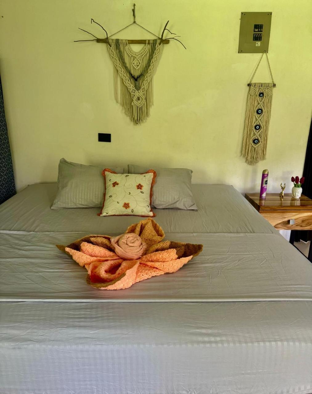 Deer House Cabuya Appartement Cabuya  Buitenkant foto
